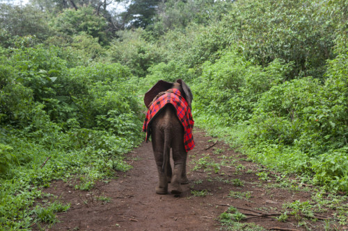 ���������"׃��"�����h�����J(r��n)�B(y��ng)����