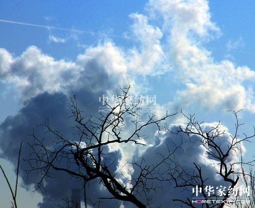 �՚���Ⱦ��(y��n)��  ���_�m���C�Ҽ����{�o(h��)��