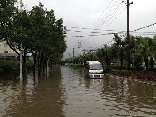 �����ء��_(t��i)�L(f��ng)����n�� ʢ��_(t��i)�Ȟ�(z��i)���U(xi��n)