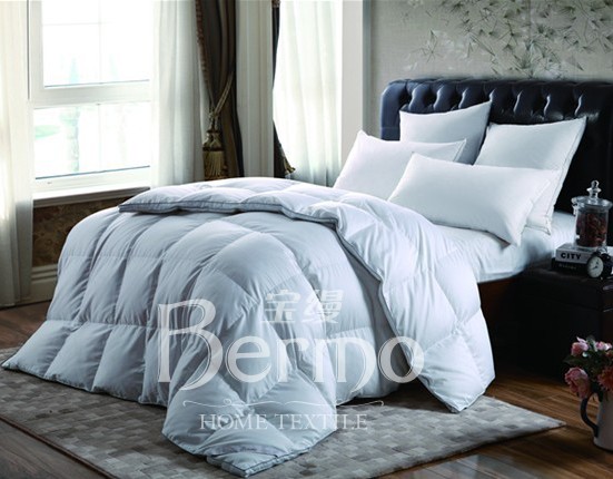 ���z�Ҽ�����¶���㡱��������