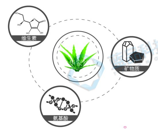 �{(l��n)Ʒ���J�C���w�S ����ȫ�´�Ʒ�w�