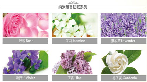 �{Ʒ�w�S����(d��ng)�Ҽ��c��ˮ�l(f��)������ײ