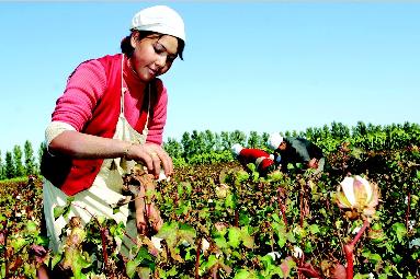 �½��������M���ތ��б��������N��