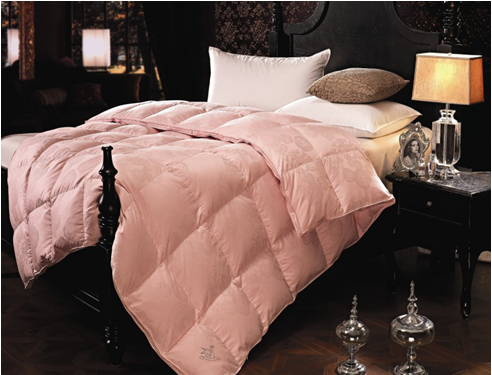 ���ˍu����q���ı��B(y��ng)֪�R