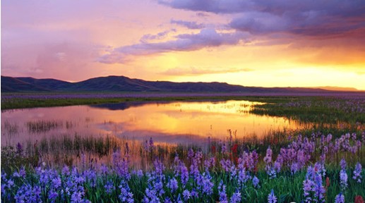 �W�ɼҼ����c����s����������