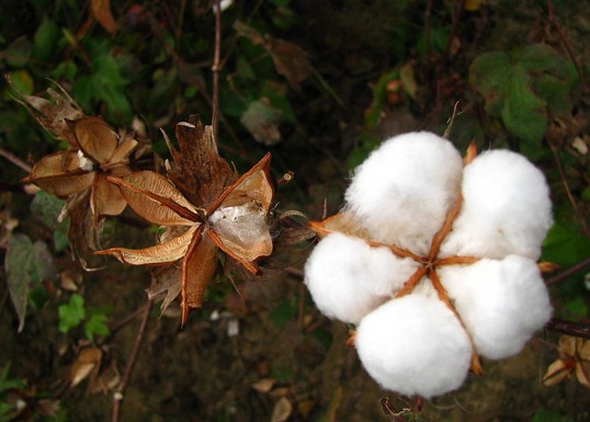 ���Ұl(f��)��2014���޻�Ŀ��(bi��o)�r��