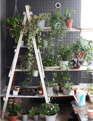 ��(chu��ng)���f��ͳɱ����삀���¿��g��2��