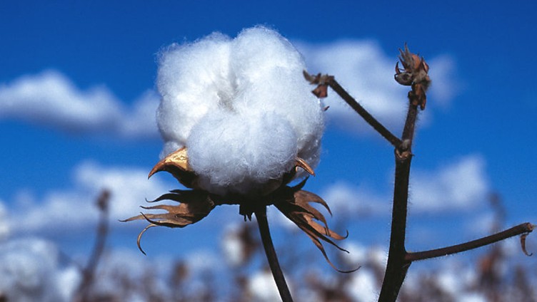 �Ҽ����Ͻ�B������