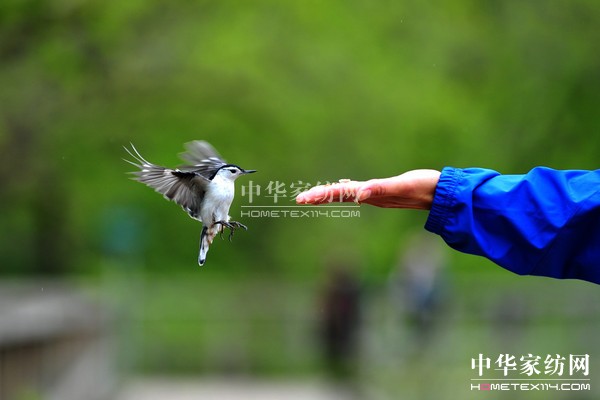 ��(d��o)ُ��Ϋ@��͵����θ���