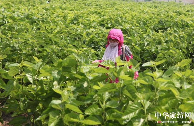 ���ýz�I�׌�ɣ�ز�ժ��(ji��)�����ء���ϲ��