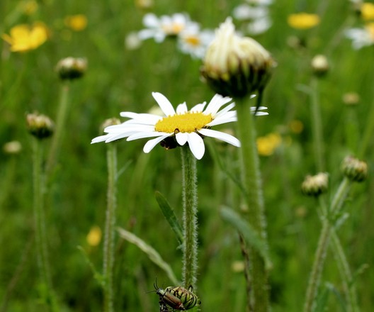 �W��"��"����֮�������ĳ�����Ѿ��ҷ���