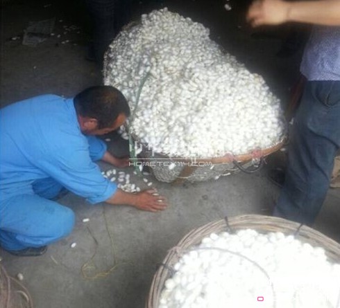 ͩ�l(xi��ng)�����d�ȵ��_(k��i)ʼ��ُ(g��u)���괺�O