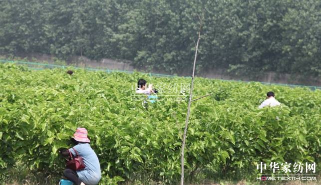 ���ýz�I��ɣ�ز�ժ��(ji��)�A�M��Ļ