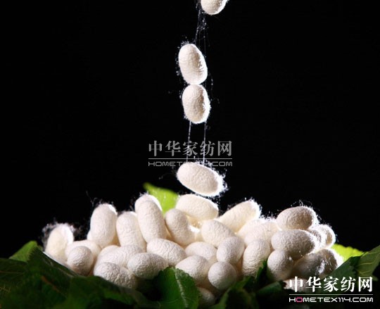 �ʺ��Q�z�������o(h��)���w�ĵڶ��Ӽ��w