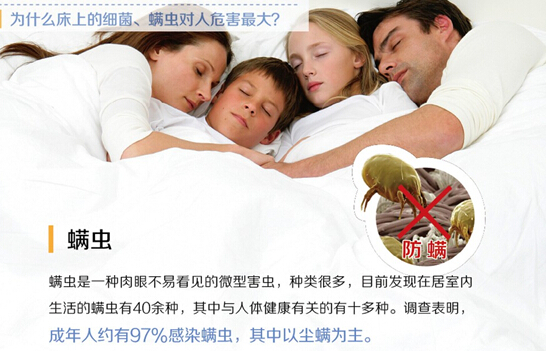 �O�ȝ������͐ۛ]�����x�ı���