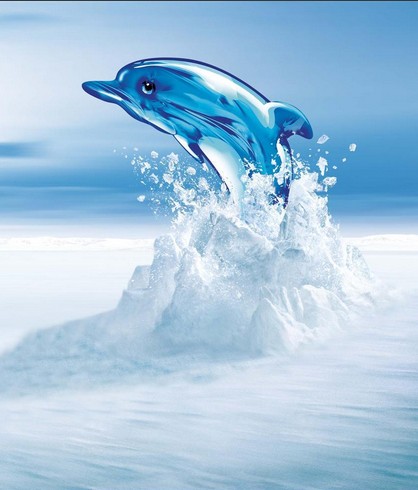 ���Ƶ����I(y��ng)�N����