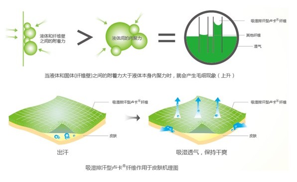 �ļ���Ʒ�o�B(y��ng)����ϴ��߀����