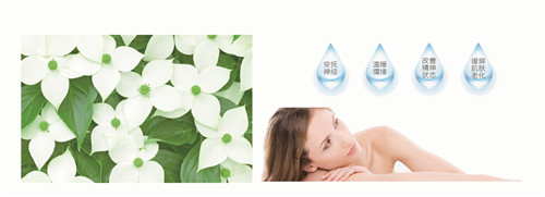 �{�׷���R���w�S������(qu��n)���z�y����ȫ�ɿ�