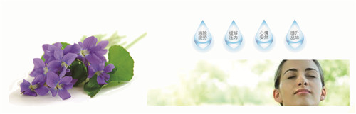 �{�׷���R���w�S������(qu��n)���z�y����ȫ�ɿ�