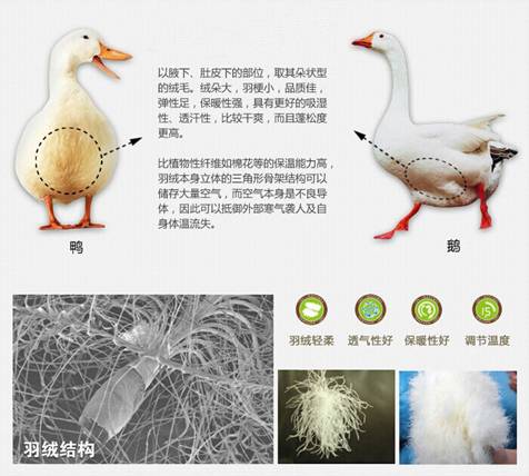 �W�ɼҼ����������u�������xُ��Ʒ����q��