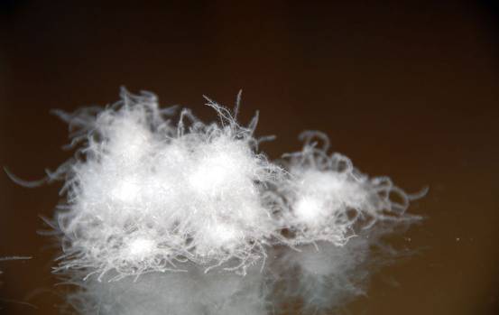 �W�ɼҼ����������u�������xُ��Ʒ����q��