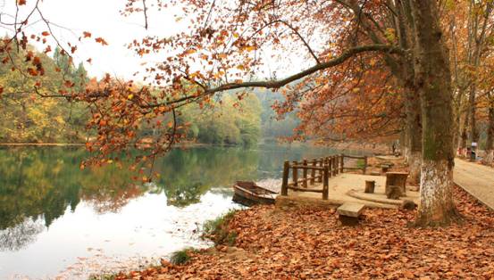 ɼɼ�Ҽ����@��(g��)�������c�ゃ��һ��