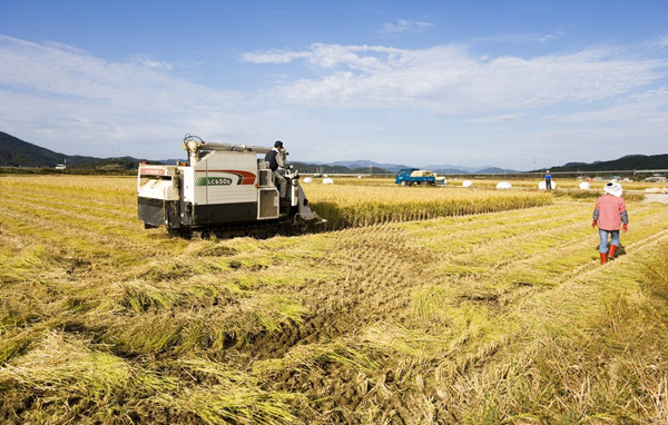 ���|���l(xi��ng)�ӵؚ� �l(f��)չ�r(n��ng)���Ј�