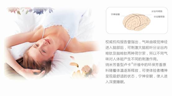 �{(l��n)Ʒ�Ƽ���õ�巼���w�S����������c�Ҽ����x