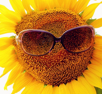 ��(gu��)����ι����ģ����c(di��n)�����܌W(xu��)�ǻ�