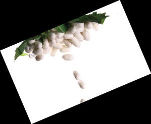 �Q�z���q�r������]�ך���