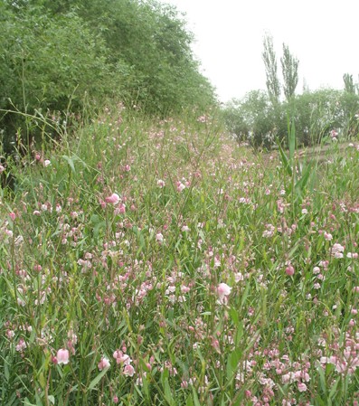 �½�һ��I(y��)�_�l(f��)��80֧�߼��_���鼆�Ҽ��ļ����ۃr(ji��)11�f