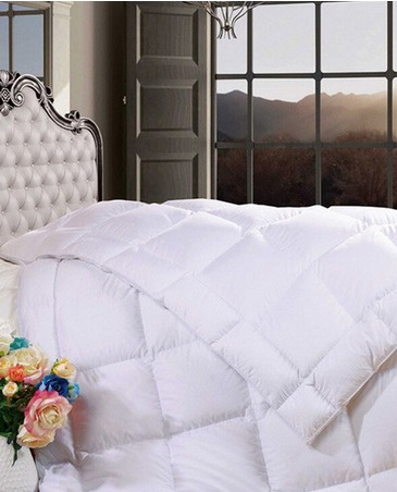 �����ȼҼ�������������(zh��n)�������^(gu��)��