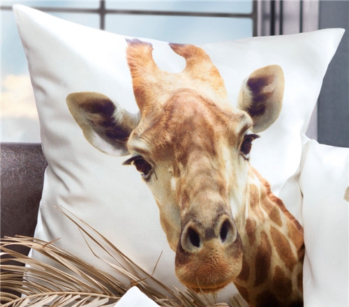 ���r(sh��)�мҼ�Ʒ��ʥ�Q��(ji��)Ԫ�ؿ��|�������C(j��)����