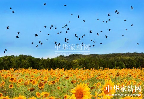 ����һ��ȥ���_��˹���s����