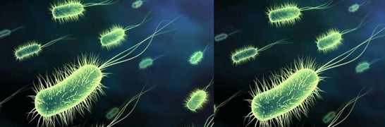 ���_�m�Ҽ�������˯��������˯��������