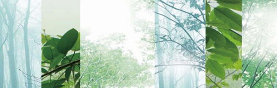 ���_�m���C�Ҽ���߀ԭ���Rԭ���B(t��i)ƽ��h(hu��n)��