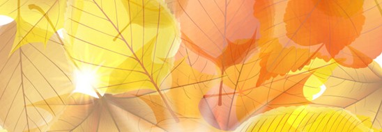 ����˯����ه��Violet���C(j��)�Ҽ�