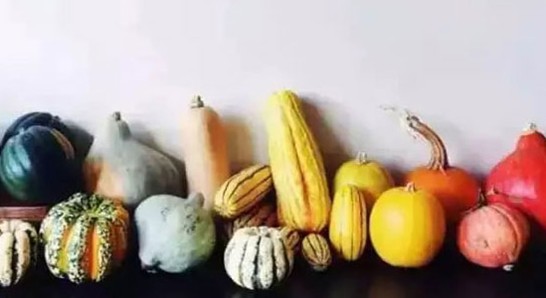 ���_�m�Ҽ��������͵����������較��