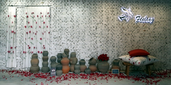 ���`����Ҋ����----FEELINGƷ�ưl(f��)����(hu��)�ڱ��������(gu��)�Hˇ�g(sh��)�@�^(q��)�e��