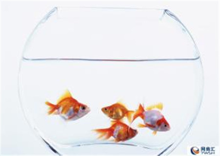 �û�����Ҿ���Ʒ�����^��(g��)����ˬ��÷�꼾