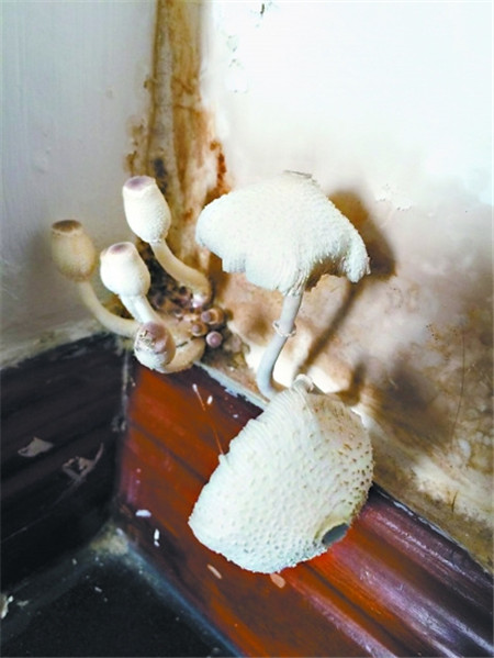 �û�����Ҿ���Ʒ�����^��(g��)����ˬ��÷�꼾