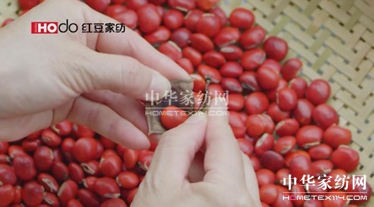 �t���Ҽ���Ϧ��(ji��)���o�㲻һ�ӵĐ�