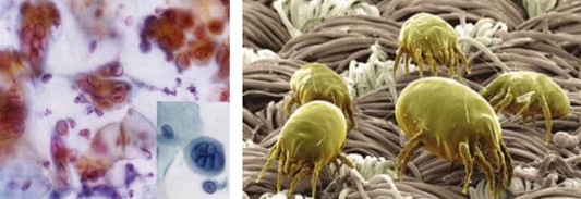 ���_�m�Ҽ�������������������360�㝍����˯