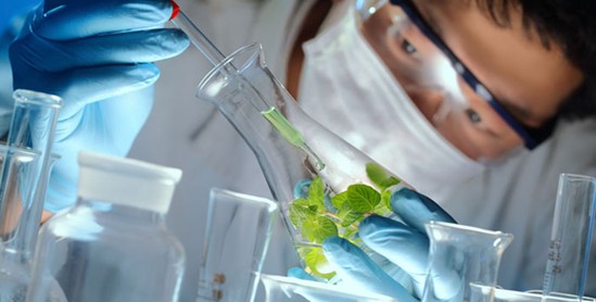 ���_�m�Ҽ���ɭ��������˯�ߡ����C���Сɭ��