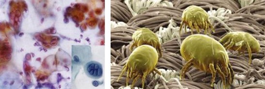 �ܽ^���f���x�����x���_�m���C(j��)�Ҽ�