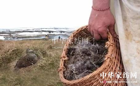 ������27�f�I�²���Ҽ�"����"��"����"��