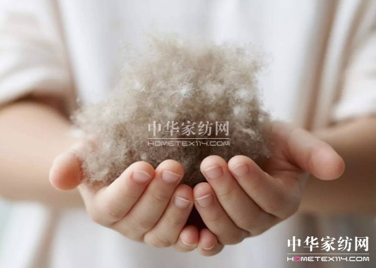 ������27�f�I�²���Ҽ�"����"��"����"��