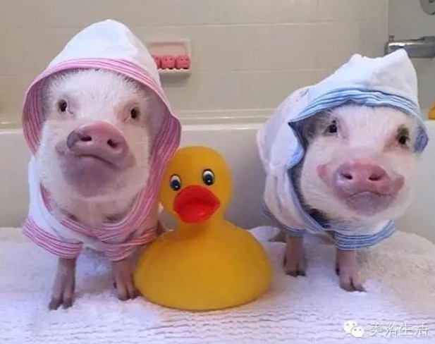 ��ԡ���һ�l��ԡ�����͎��o�㲻�Զ������Ҹ���