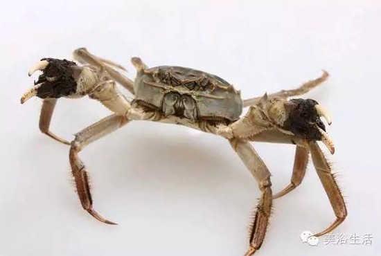 ��ԡ����Â���Ĵ��lз��з�S��ʳ��зȯ���ۣ�з��������ë����