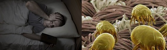 ���z�R�����_�����B(t��i)���ܼҾ�4.0�r(sh��)��